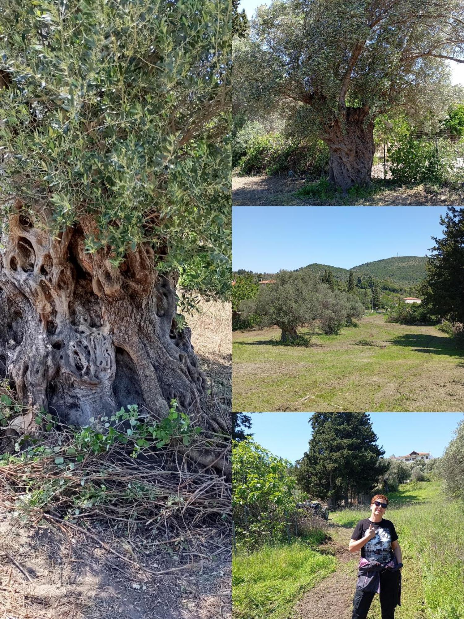 Konistres La Nature מראה חיצוני תמונה