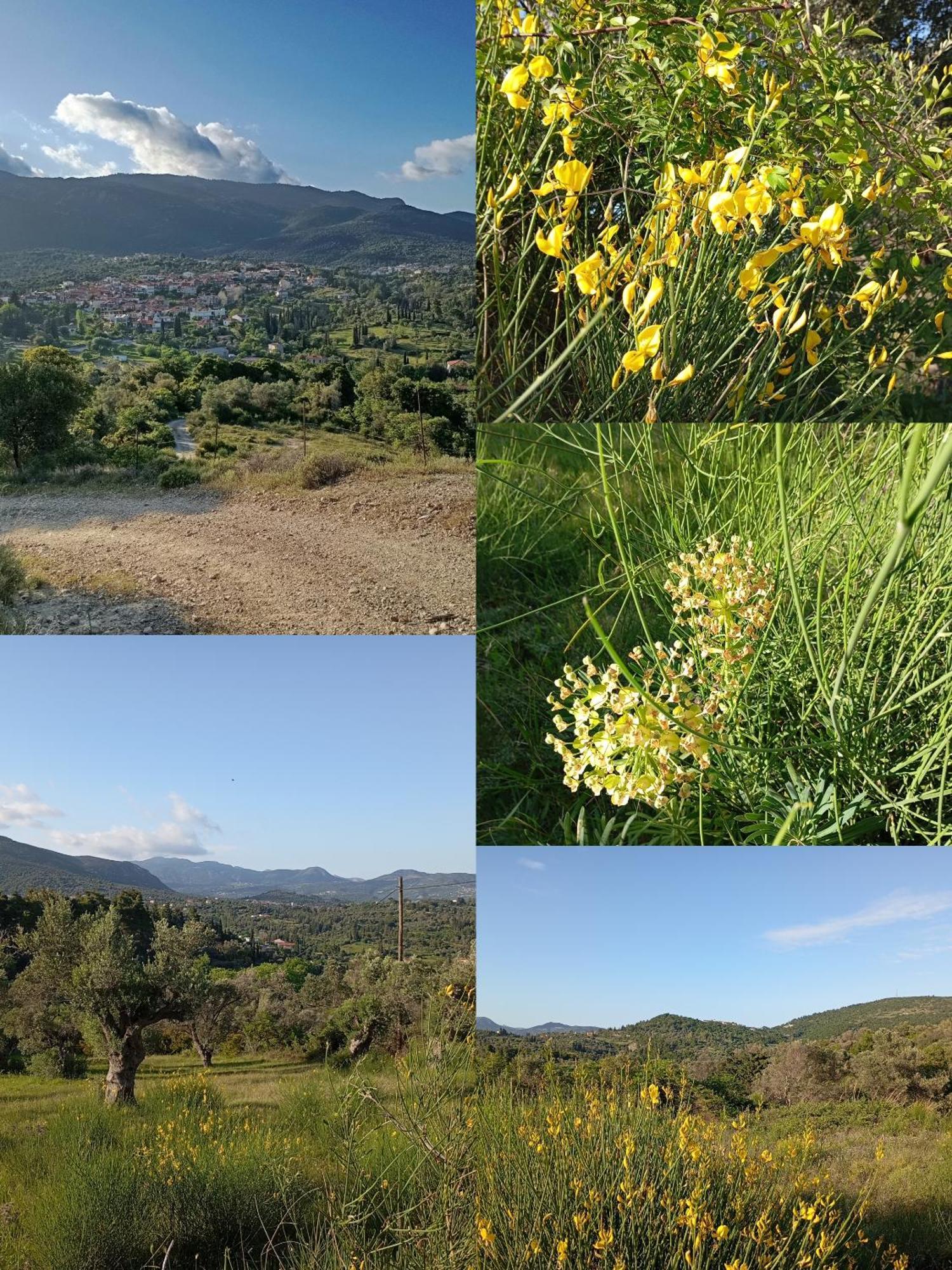 Konistres La Nature מראה חיצוני תמונה